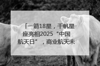 一箭18星，千帆星座亮相2025“中国航天日”，商业航天未来如何改变人类生活？｜海上生明月