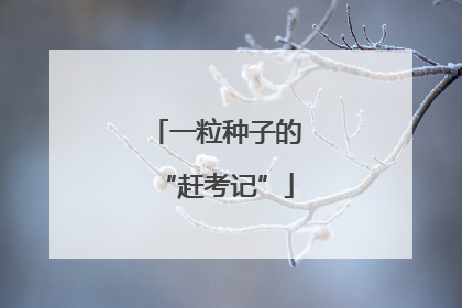 一粒种子的“赶考记”