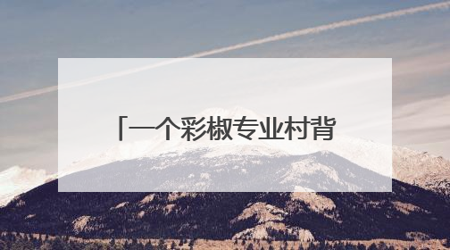 一个彩椒专业村背后的“山东密码”