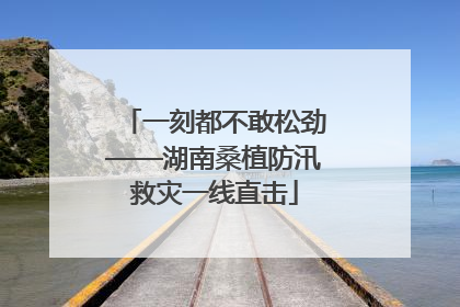 一刻都不敢松劲——湖南桑植防汛救灾一线直击
