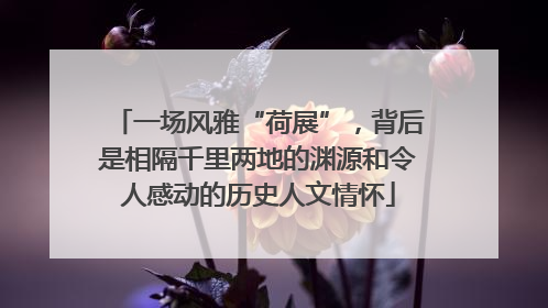 一场风雅“荷展”，背后是相隔千里两地的渊源和令人感动的历史人文情怀