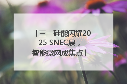 三一硅能闪耀2025 SNEC展，智能微网成焦点
