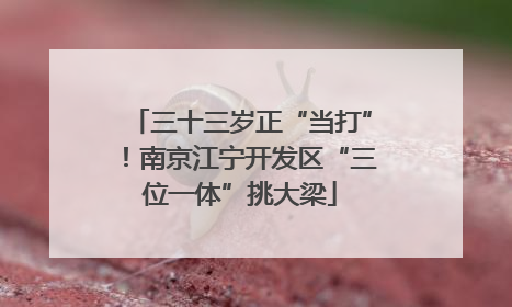 三十三岁正“当打”！南京江宁开发区“三位一体”挑大梁