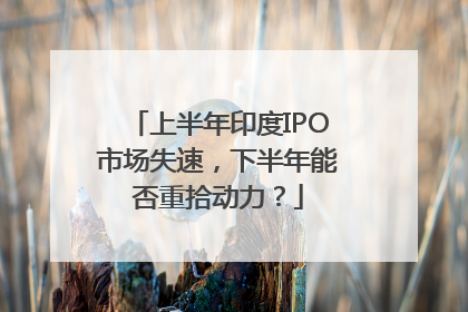 上半年印度IPO市场失速，下半年能否重拾动力？