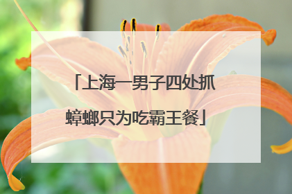 上海一男子四处抓蟑螂只为吃霸王餐