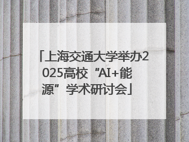 上海交通大学举办2025高校“AI+能源”学术研讨会