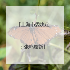 上海市委决定：张鸣履新