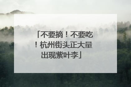 不要摘！不要吃！杭州街头正大量出现紫叶李