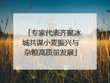 专家代表齐聚冰城共谋小麦振兴与杂粮高质量发展