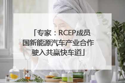 专家：RCEP成员国新能源汽车产业合作驶入共赢快车道