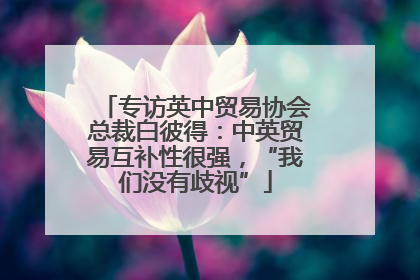专访英中贸易协会总裁白彼得：中英贸易互补性很强，“我们没有歧视”