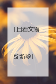 且看文物绽新彩