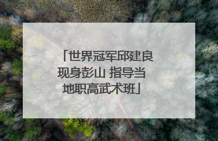 世界冠军邱建良现身彭山 指导当地职高武术班
