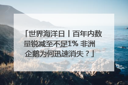 世界海洋日丨百年内数量锐减至不足1% 非洲企鹅为何迅速消失？