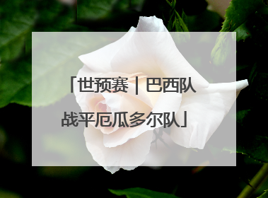 世预赛｜巴西队战平厄瓜多尔队