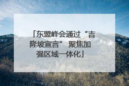 东盟峰会通过“吉隆坡宣言” 聚焦加强区域一体化