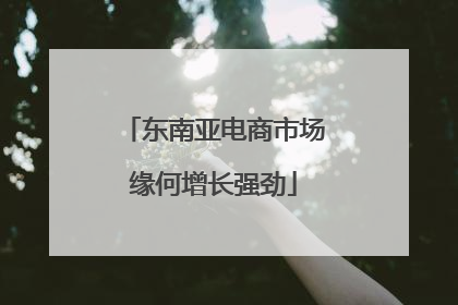 东南亚电商市场缘何增长强劲