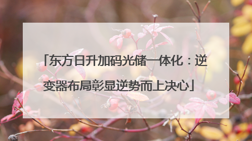 东方日升加码光储一体化：逆变器布局彰显逆势而上决心