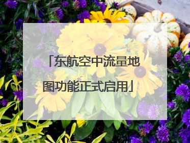 东航空中流量地图功能正式启用