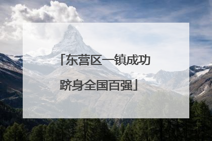 东营区一镇成功跻身全国百强