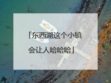 东西湖这个小镇会让人哈哈哈