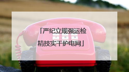 严纪立规强运检 精技实干护电网