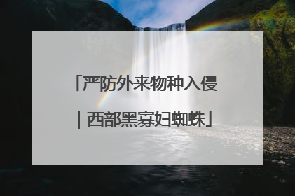 严防外来物种入侵｜西部黑寡妇蜘蛛