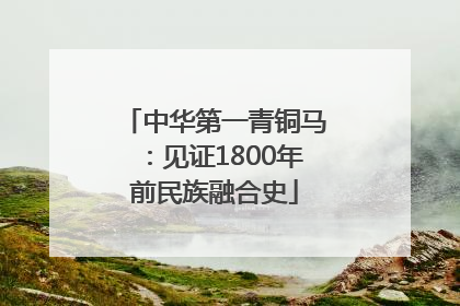 中华第一青铜马：见证1800年前民族融合史