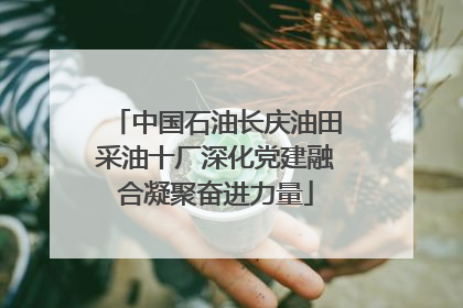 中国石油长庆油田采油十厂深化党建融合凝聚奋进力量