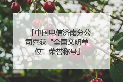 中国电信济南分公司喜获“全国文明单位”荣誉称号