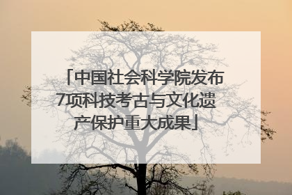 中国社会科学院发布7项科技考古与文化遗产保护重大成果