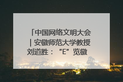 中国网络文明大会｜安徽师范大学教授刘道胜：“E”览徽风，构筑中华民族共有精神家园