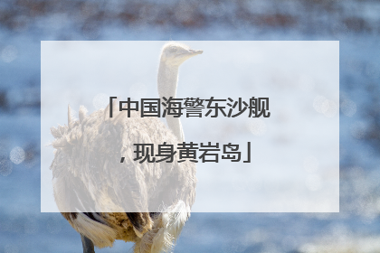 中国海警东沙舰，现身黄岩岛