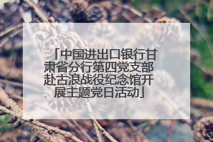 中国进出口银行甘肃省分行第四党支部赴古浪战役纪念馆开展主题党日活动