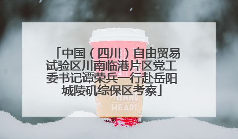 中国（四川）自由贸易试验区川南临港片区党工委书记谭荣兵一行赴岳阳城陵矶综保区考察