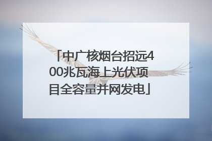 中广核烟台招远400兆瓦海上光伏项目全容量并网发电
