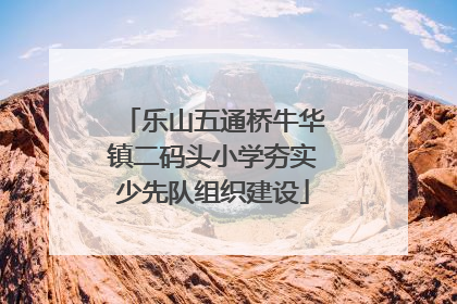 乐山五通桥牛华镇二码头小学夯实少先队组织建设