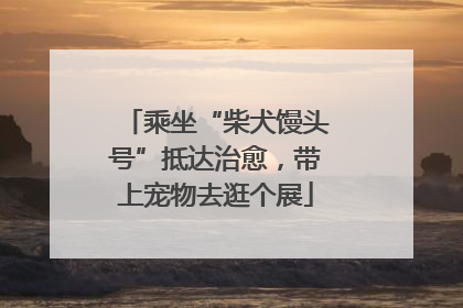 乘坐“柴犬馒头号”抵达治愈，带上宠物去逛个展