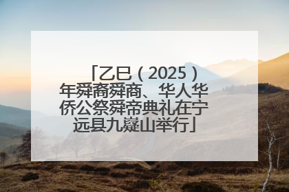 乙巳（2025）年舜裔舜商、华人华侨公祭舜帝典礼在宁远县九嶷山举行