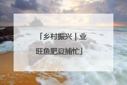 乡村振兴｜业旺鱼肥夏捕忙
