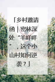 乡村邀请函｜密林深处“羊咩咩”，这个小山村如何逆袭？