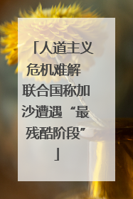 人道主义危机难解 联合国称加沙遭遇“最残酷阶段”