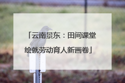 云南景东：田间课堂绘就劳动育人新画卷