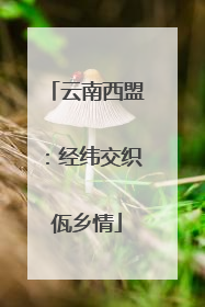 云南西盟：经纬交织佤乡情