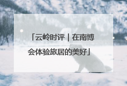 云岭时评｜在南博会体验旅居的美好