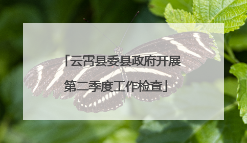 云霄县委县政府开展第二季度工作检查