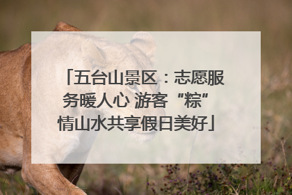 五台山景区：志愿服务暖人心 游客“粽”情山水共享假日美好