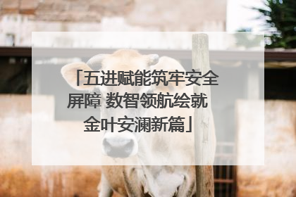 五进赋能筑牢安全屏障 数智领航绘就金叶安澜新篇