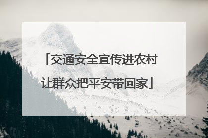 交通安全宣传进农村 让群众把平安带回家