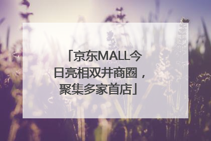 京东MALL今日亮相双井商圈，聚集多家首店